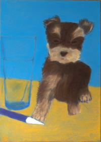 resimler-pastel-dog-portrait-on-blue-paper-height-42-cm.jpg